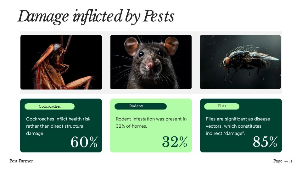 Corporate presentation design for a pest management company